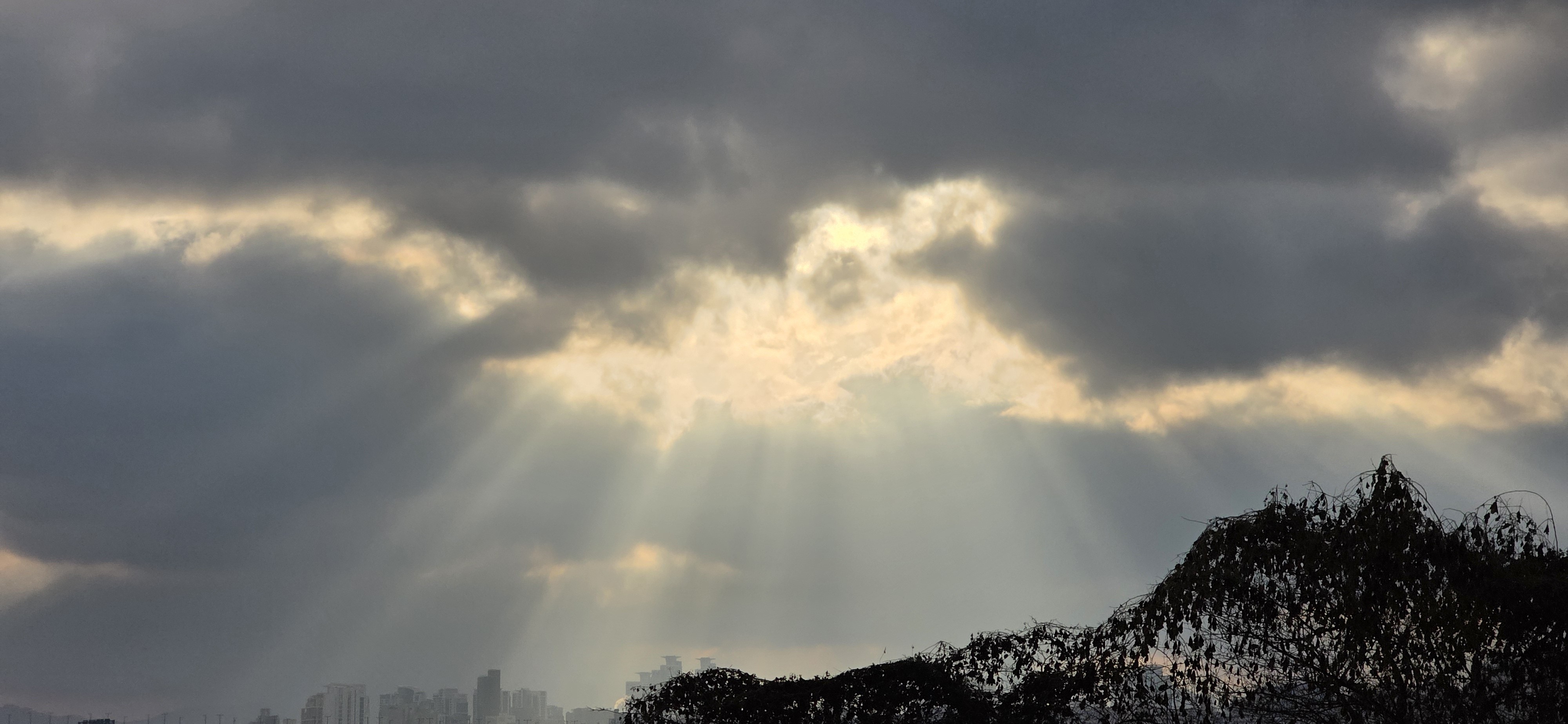 Piaro ᔆʳ♪ˎˊ˗