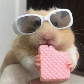 수림💕