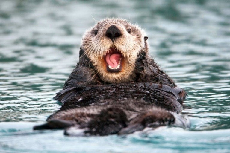 ⋆｡˚ ☁︎ 그앙