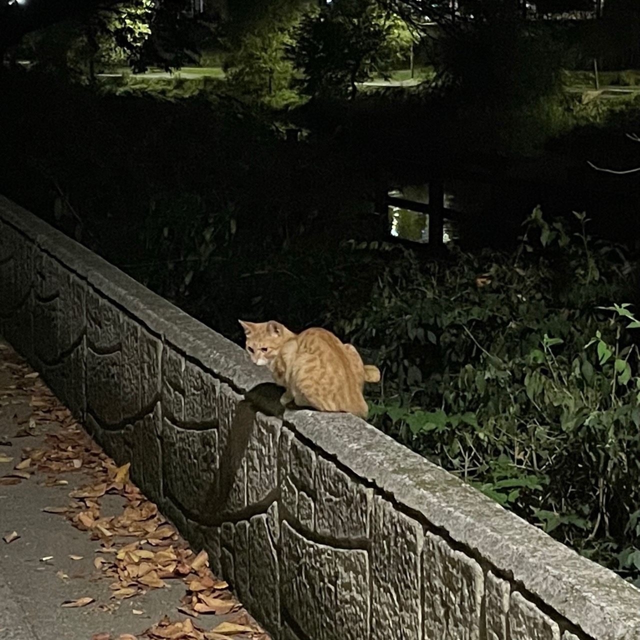 ⋆. 푸른