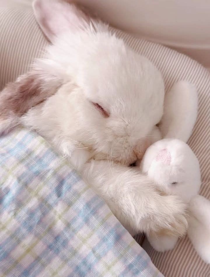 ◡̈리우