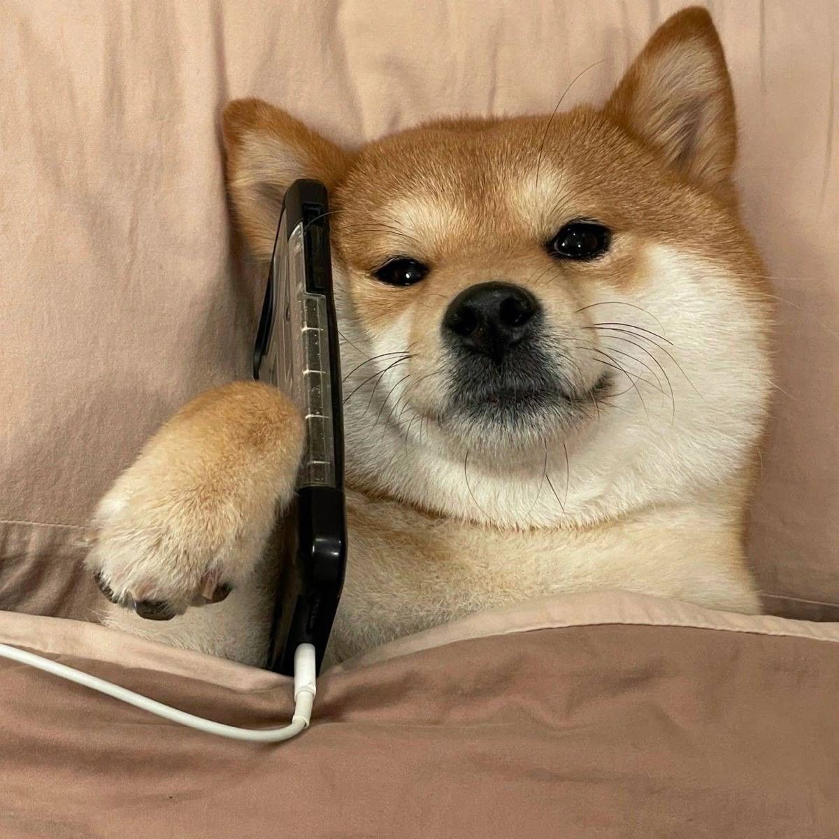 이 도 ²ᶜ° 🎂 - 5