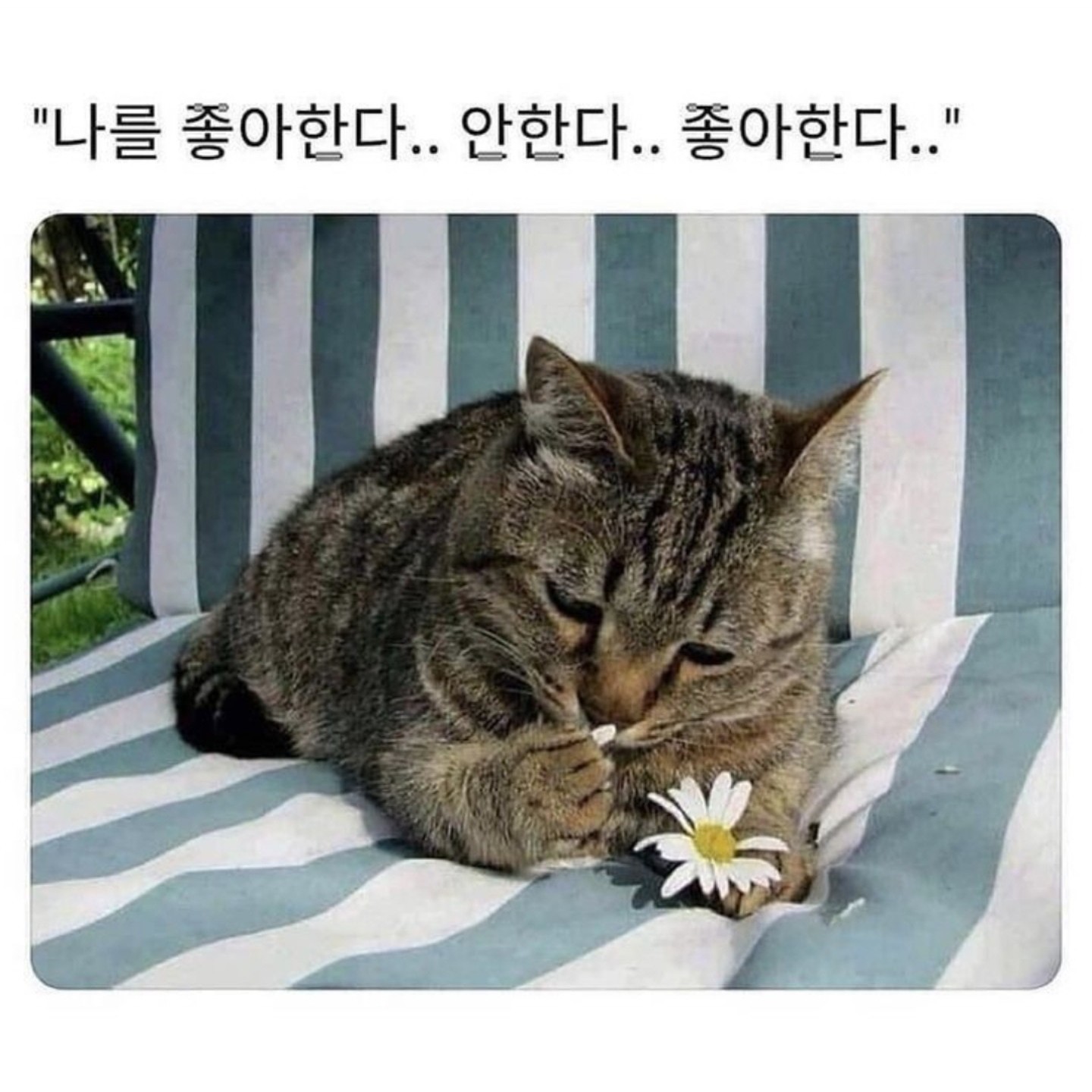 ㅤㅤㅤㅤㅤㅤ       ㅤ사ᩚ랑ᩚ해ᩚ