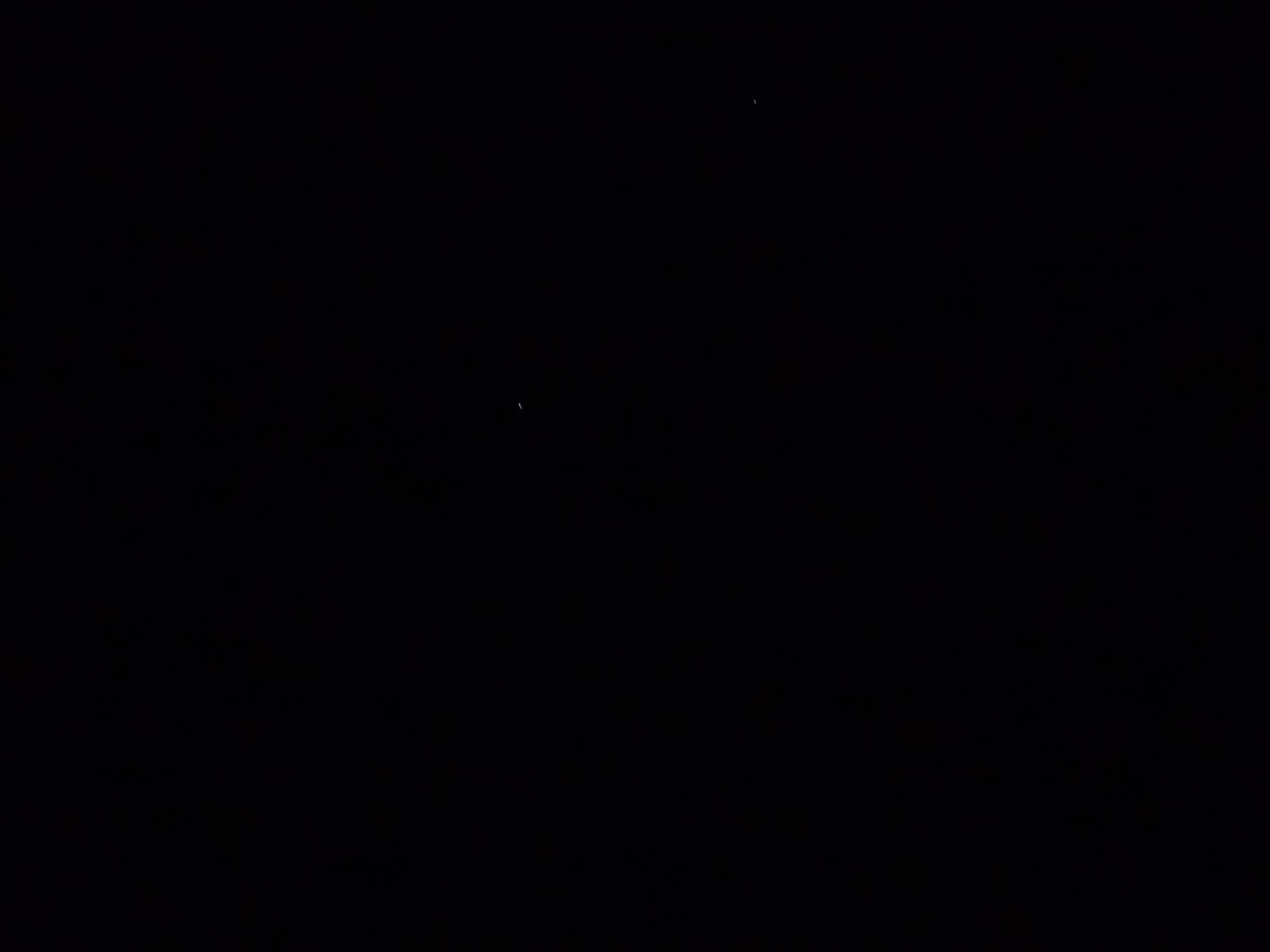 요미 💮 ᴴ‧₊♡