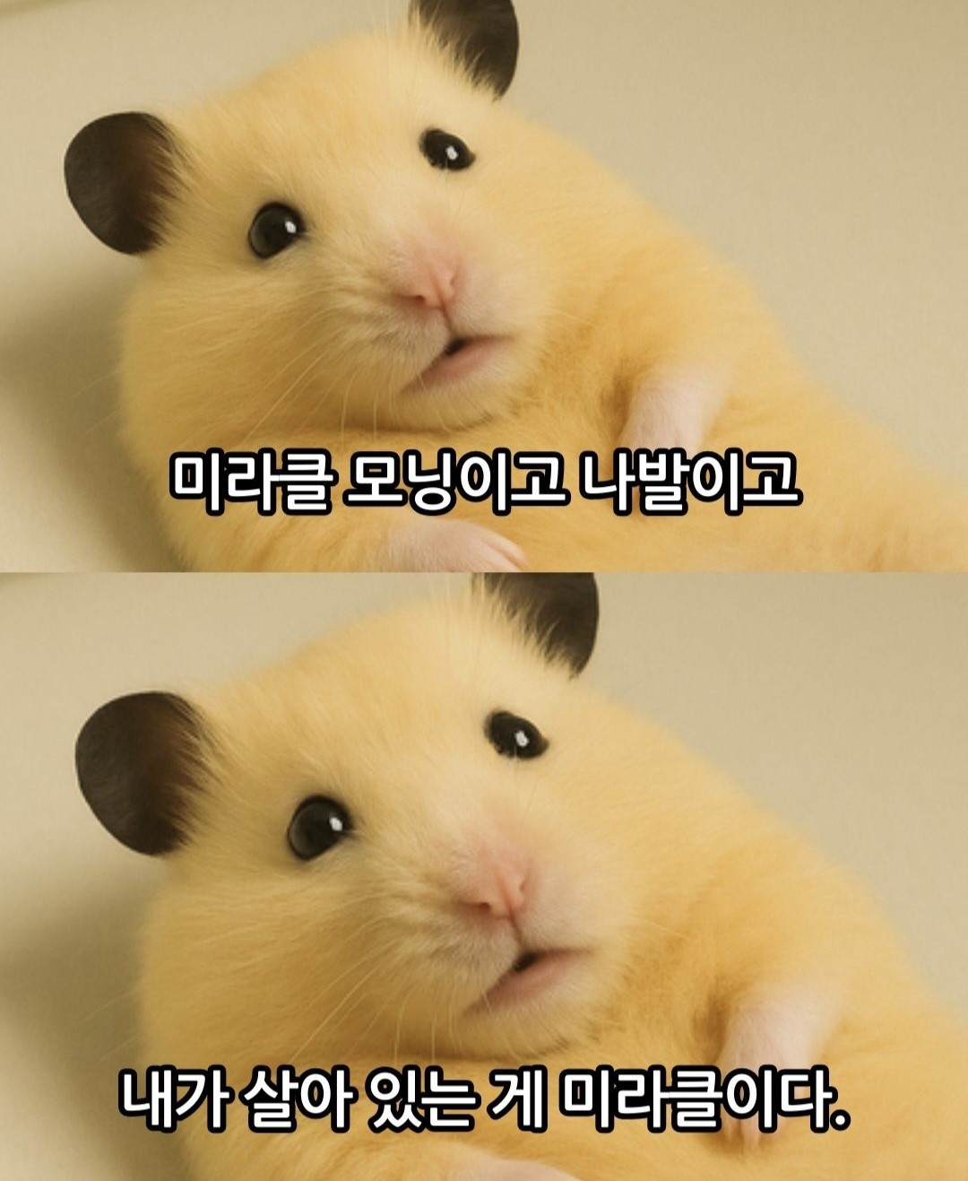 _엣치