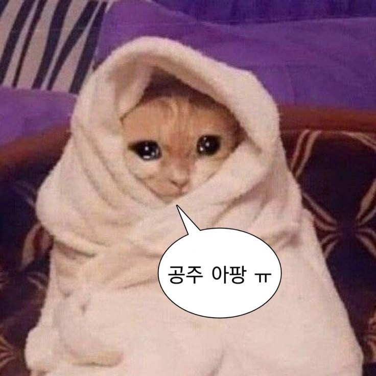 ꈉ 𖦼ₒₙᵢ슈슉ꛭ✰ᑸ